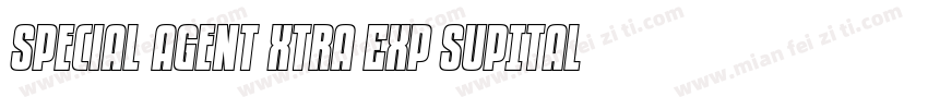 Special Agent Xtra Exp SupItal Regu字体转换